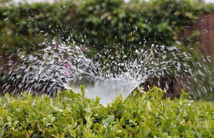 sprinkler-in-garden.jpg