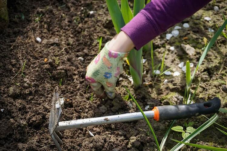 digging-in-garden.jpg