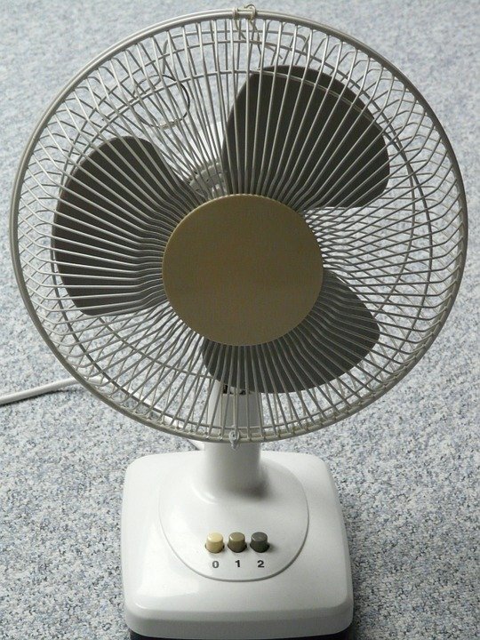 fan